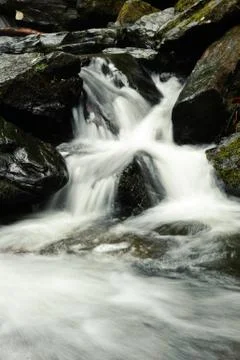 Mountain stream closeup Stock Photos