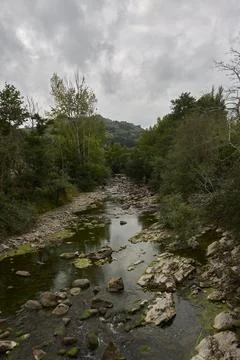 Mountain stream on a cloudy day, with a lot of vegetation. Stock Photos