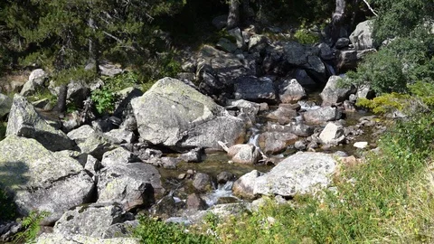 Mountain stream with crystal clear water flows among huge stones in mountains Видео 122948960