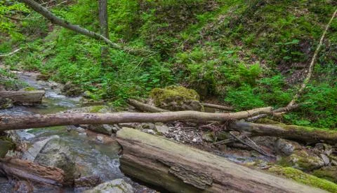 Mountain stream current between the large boulders and fallen trees. Foto stock