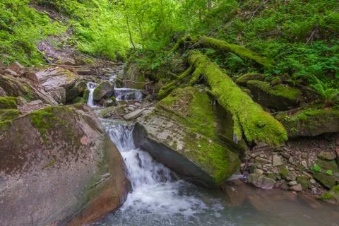 Mountain stream current between the large boulders in the woods. Foto stock