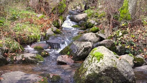 Mountain Stream Deep In The Forest High In The Mountain In Autumn Stock Footage 70720068
