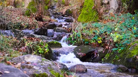 Mountain Stream Deep In The Forest High In The Mountain In Autumn Stock Footage 70723700