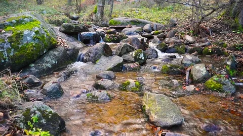 Mountain Stream Deep In The Forest High In The Mountain In Autumn Stock Footage 70724743