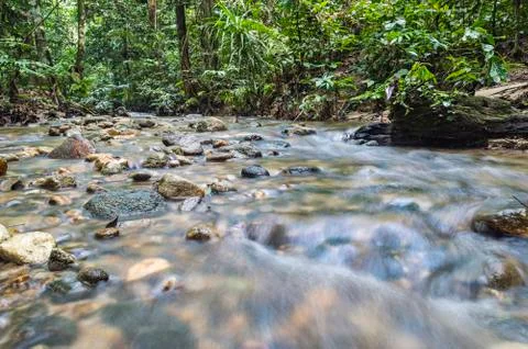Mountain stream in deep tropical forest Stock Photos