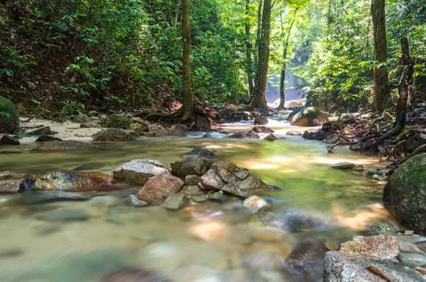 Mountain stream in deep tropical forest Stock Photos