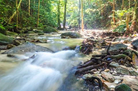 Mountain stream in deep tropical forest Foto stock
