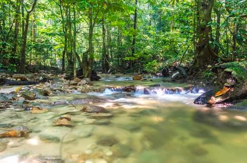 Mountain stream in deep tropical forest Stock Photos