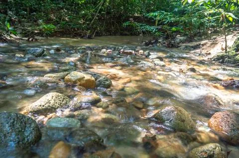 Mountain stream in deep tropical forest Stock Photos