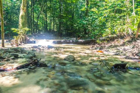 Mountain stream in deep tropical forest with sun rays. Stock Photos