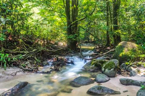 Mountain stream in deep tropical forest Stock Photos