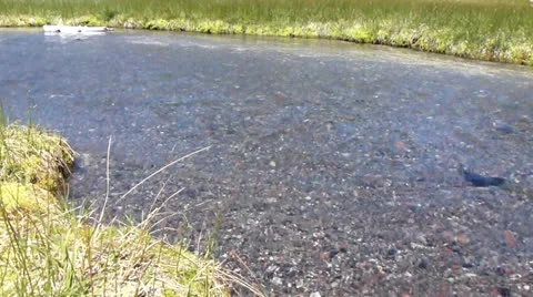 Mountain stream into Devils Lake 動画素材 24655679