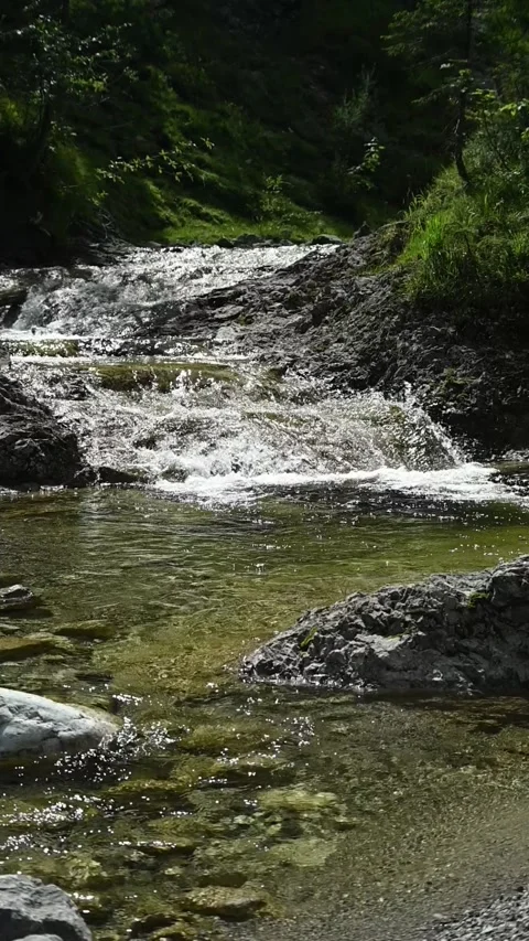 A mountain stream in direct sunlight, backlight, slow motion Video stock 260890201