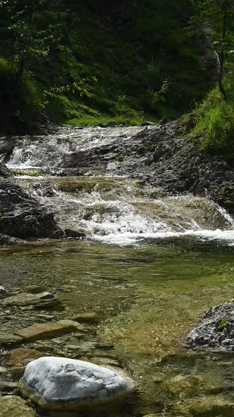 A mountain stream in direct sunlight, backlight, slow motion 스톡 동영상 260890461