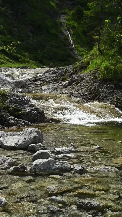 A mountain stream in direct sunlight, backlight, slow motion 스톡 동영상 260890583