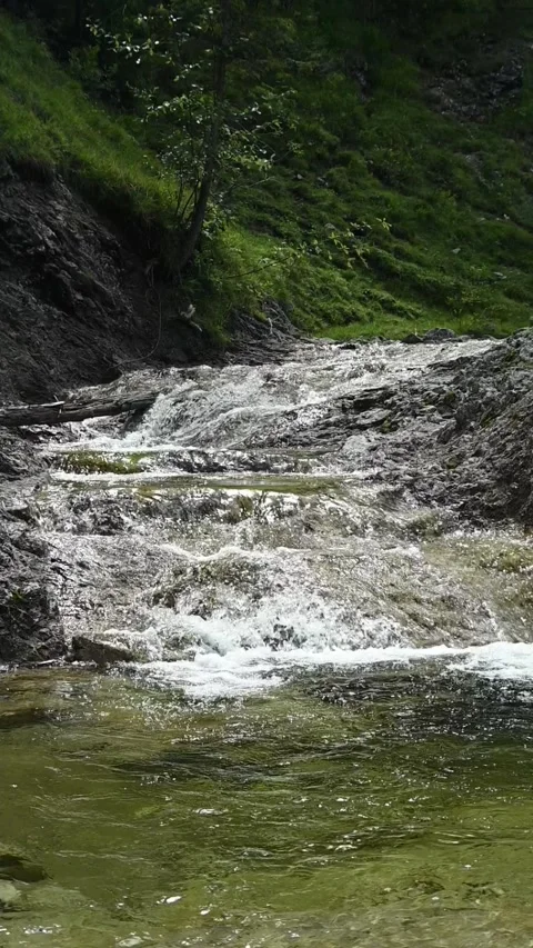A mountain stream in direct sunlight, backlight, slow motion Video stock 260890706