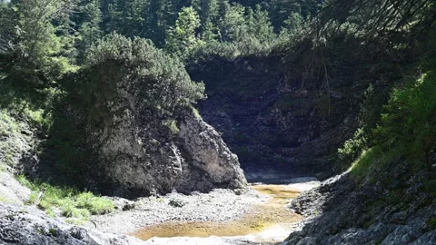 A mountain stream disappears behind a huge rock in a forest Stock-Footage 219646844