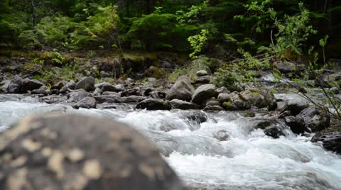 Mountain Stream Dolly Shot Vídeos de archivo 24586190