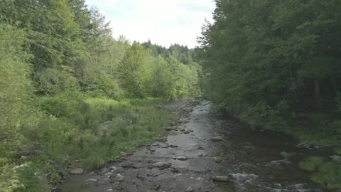 Mountain Stream Drone View Stock Footage 297793646