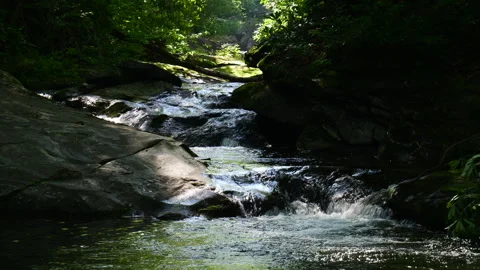 Mountain stream in the early morning Stock Footage 337319542