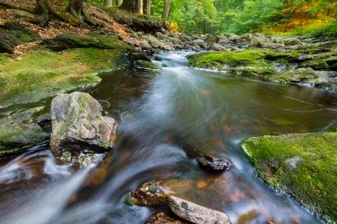 Mountain Stream In Evening Light Stock Photos