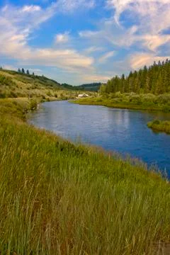Mountain stream in fall Stock Photos