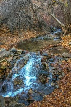 Mountain Stream in the Fall Foto stock