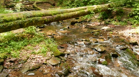  Mountain  stream with  fallen log sunny day.   4K 3840x2160.  库存影片 53835617