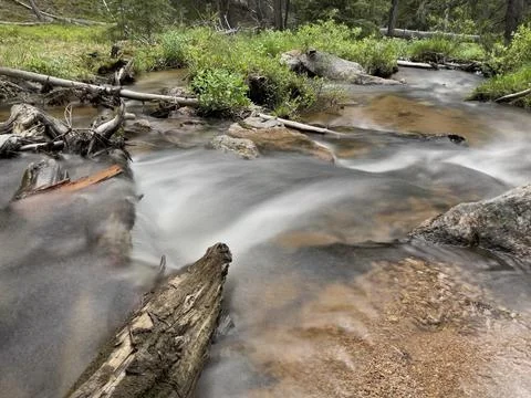 Mountain Stream Fallen Trees Stock Photos