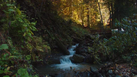 Mountain stream is falling down from the hill among colorful autumn landscape Stock Footage 204048590