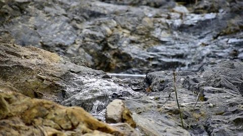 Mountain stream falling through the rocks 库存影片 116109990