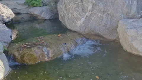 A mountain stream falls from the rocks and turns into a waterfall. Stock Footage 231715486