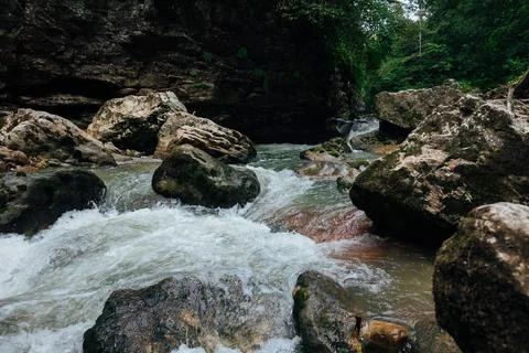 Mountain stream fast river in large rocks current green plants Foto stock