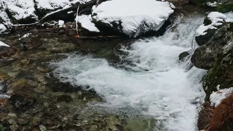 Mountain stream, with fast slow runs between stones and trees of mount forest Stock Footage 169343550