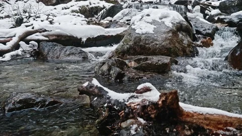 Mountain stream, with fast slow runs between stones and trees of mount forest Stock Footage 169344139