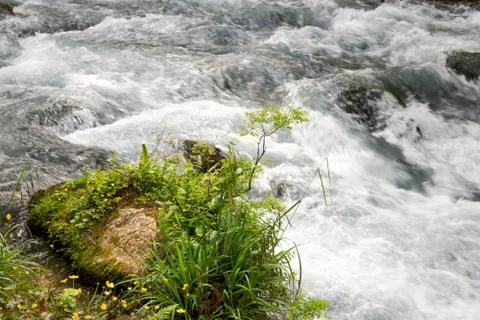 Mountain stream with fast water Stock Photos