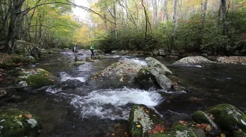 Mountain Stream Fisherman Fall Video stock 43486910