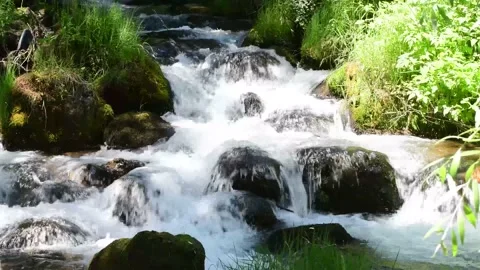 Mountain stream flow Stock Footage 163122208
