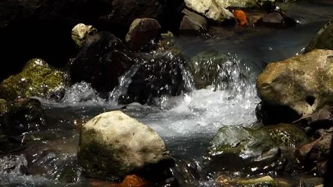 Mountain Stream Flowing _(clip-015) Stock Footage 141020520