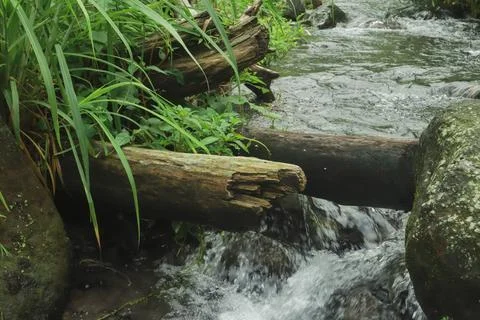 Mountain Stream Flowing Around Fallen Tree Stock Photos