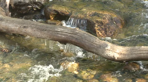 Mountain stream flowing beneath log with icicles Stock Footage