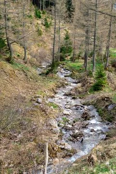 A mountain stream flowing between the hills of the mountains after a snow mel Stock Photos