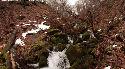 Mountain Stream Flowing Between Moss-Grown Stone in the Forest Stock Footage 63959666