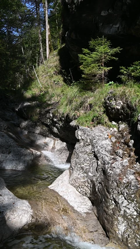A mountain stream flowing between rocks in a forest in the evening, vertical Video stock 260931510
