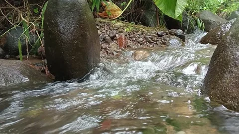 Mountain Stream Flowing Between Rocks in Nature Stock Footage 330517331