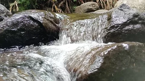 Mountain Stream Flowing Between Rocks Clear Water Scene Stock Footage 330581605