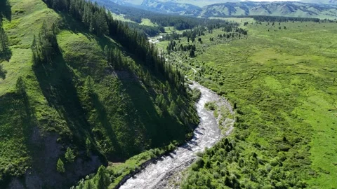Mountain Stream Flowing Between Valley and Forested Hills, East Kazakhstan L Stock Footage 317511737