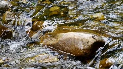 Mountain stream flowing close-up. creek water flowing melted snow spring. str Stock Footage 280073912