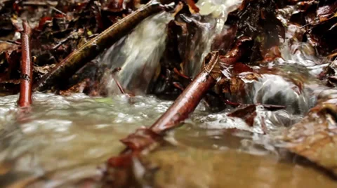 Mountain stream flowing down a hillside through the dry leaves, water source. Stock Footage 37796137