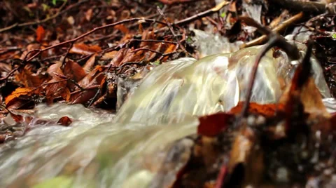 Mountain stream flowing down a hillside through the dry leaves, water source. Stock Footage 37797844